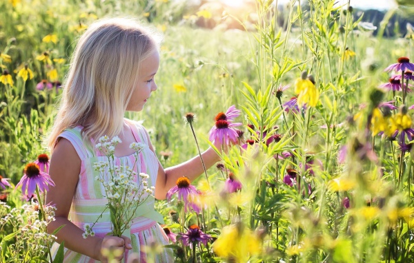 Маленькая девочка гуляет на поле с цветами эхинацеи 
