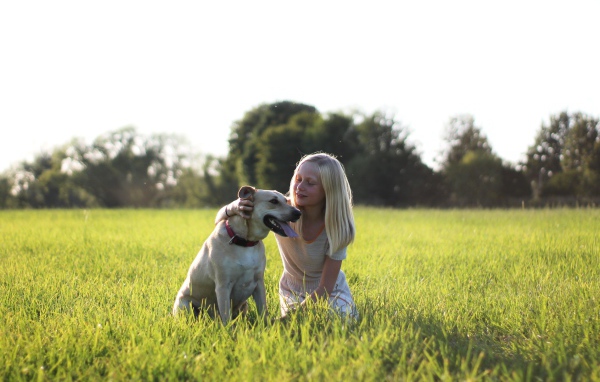Маленькая девочка с собакой в зеленой траве