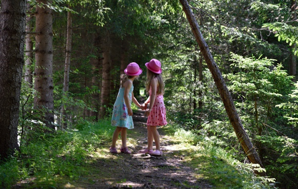 Две маленькие девочки гуляют в лесу