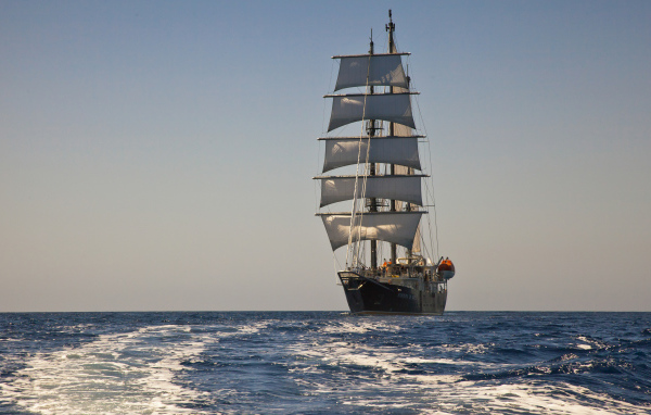 Большой корабль с белыми парусами в поле 