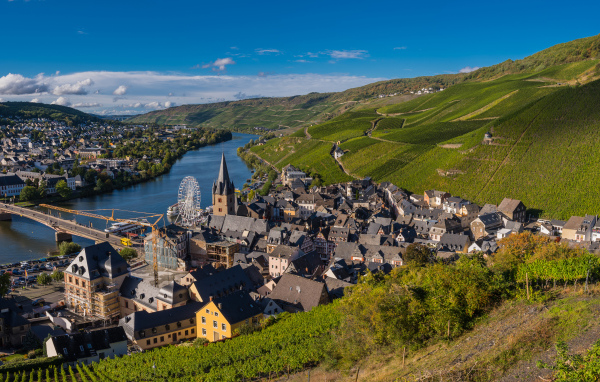 Вид город, реку и виноградник. Германия 