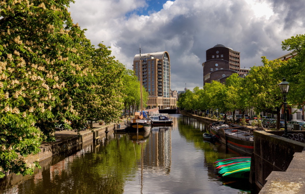 Водный канал в городе с цветущими каштанами, Нидерланды 