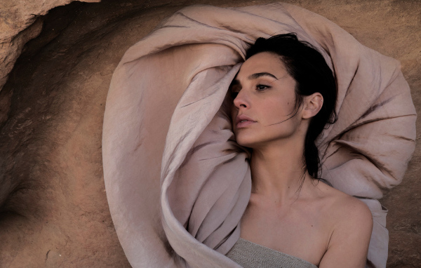 Красивая брюнетка, актриса Галь Гадот