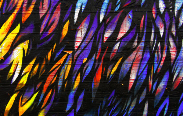 Рисунок перья на стене крупным планом