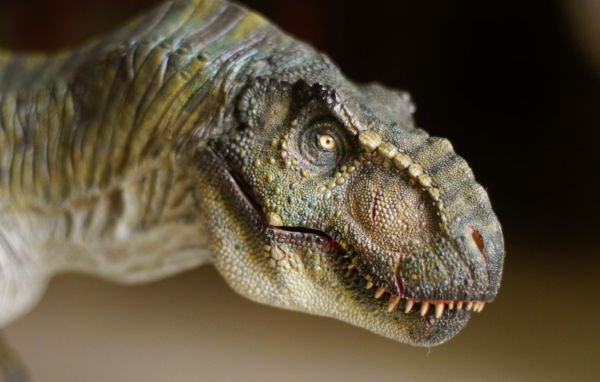 T rex dinosaur face close up