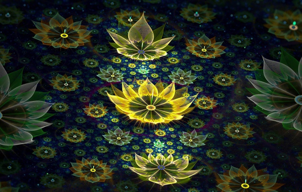 Красивые 3д цветы на черном фоне