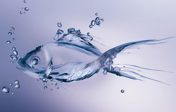 Рыба из воды на синем фоне