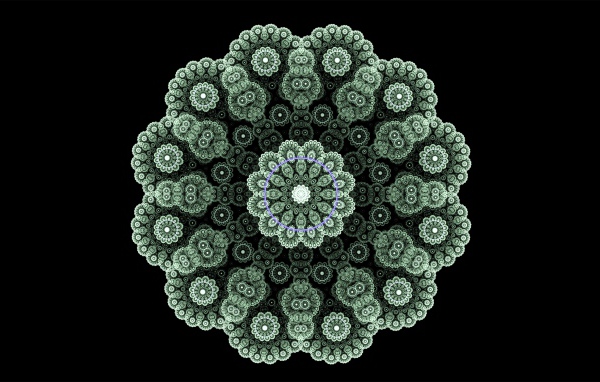 Кружевной зеленый фрактальный цветок на черном фоне