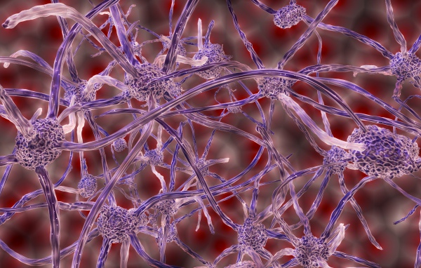 Нервные клетки под микроскопом 3д графика
