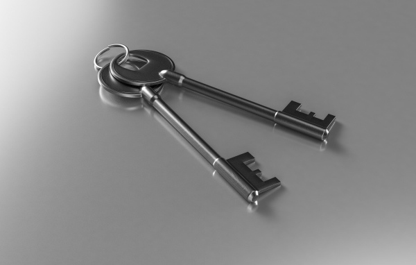 Два ключа на серой поверхности 3д графика