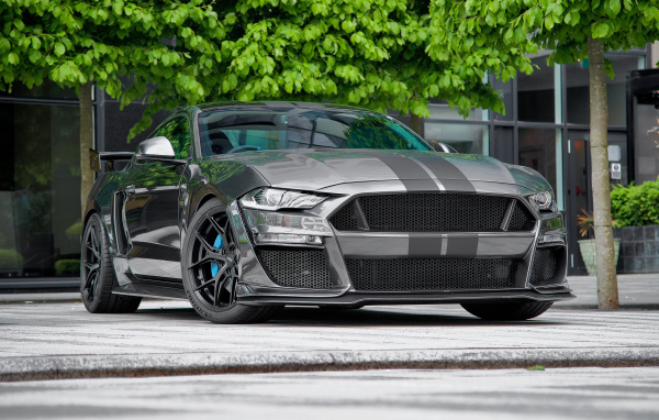 Быстрый дорогой автомобиль Ford Mustang CS850GT 2021 года