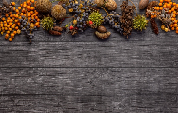 Ягоды с шишками на деревянном фоне 