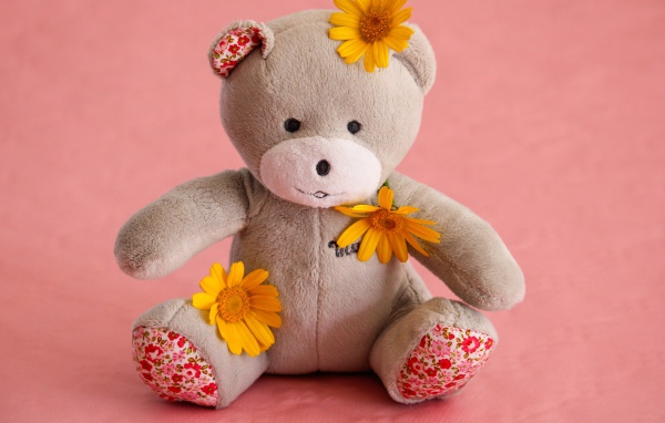 Красивый плюшевый мишка с цветами на розовом фоне