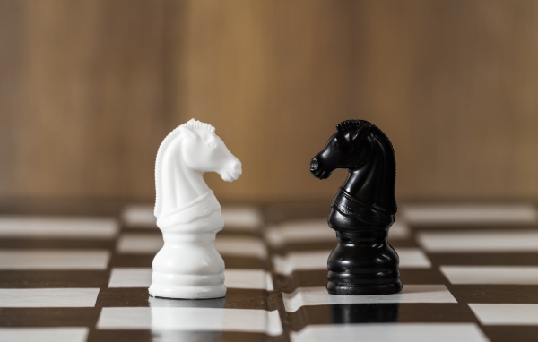 Черный и белый шахматный конь