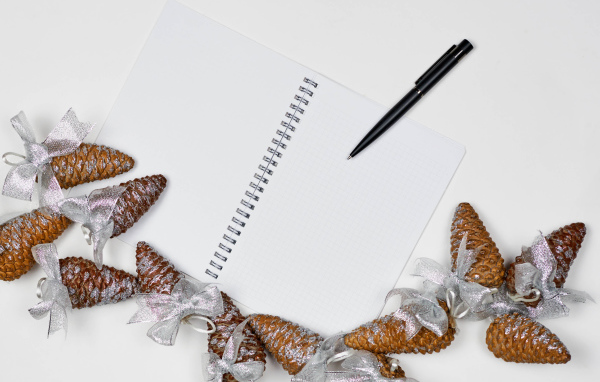 Еловые шишки на столе с блокнотом и ручкой