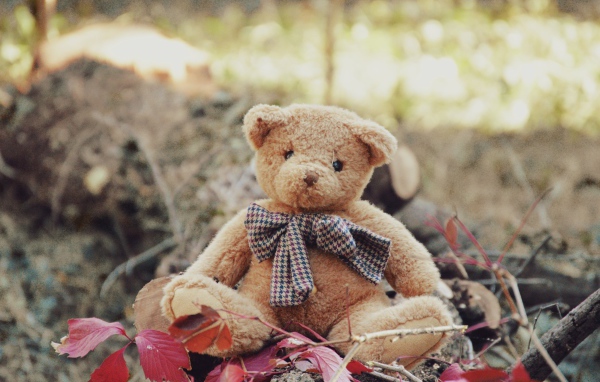 Маленький плюшевый мишка сидит на земле 