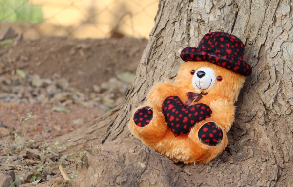 Медвежонок Тедди лежит под деревом