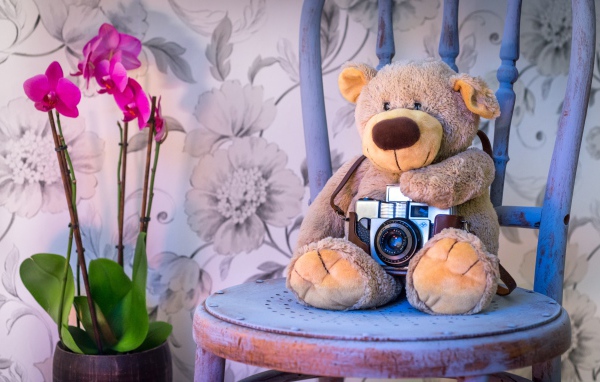 Игрушка медвежонок с фотоаппаратом на кресле