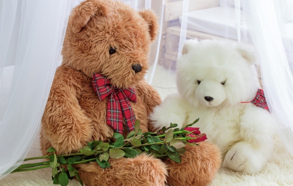 Two big toy bears with a bouquet of roses