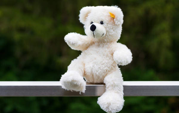 Белый плюшевый медведь сидит на деревянной доске