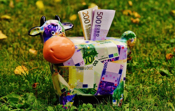 Piggy bank cow with euro bills on green grass
