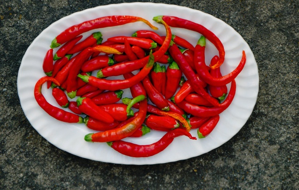 Острый красный перец чили на большой белой тарелке