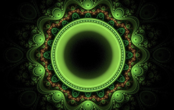 Зеленый лайм на ветке в каплях воды