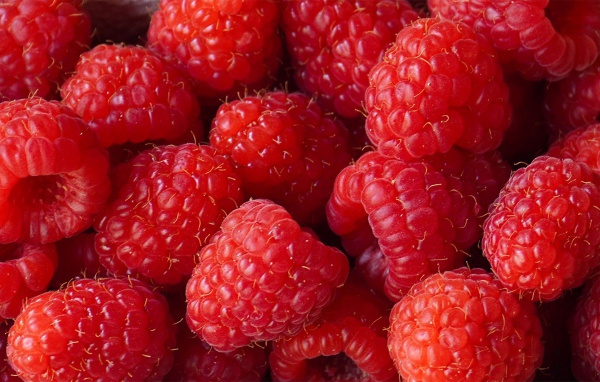 Красные сладкие ягоды малины крупным планом 