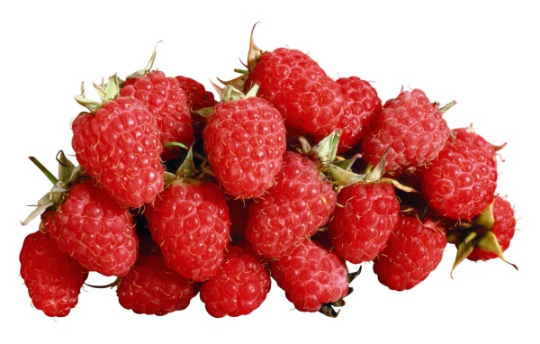 Спелая красная малина на белом фоне