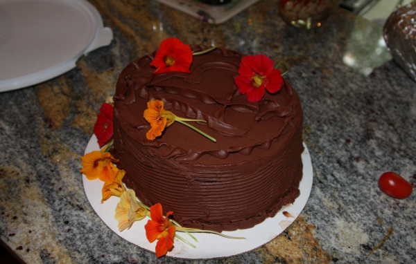 Appetizing chocolate cake with nasturtium flowers