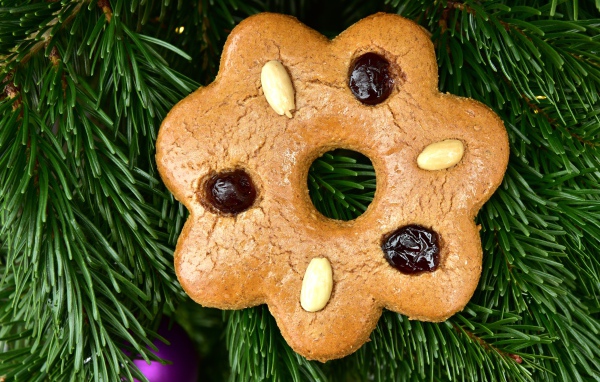 Печенье с изюмом  и арахисом с еловой веткой