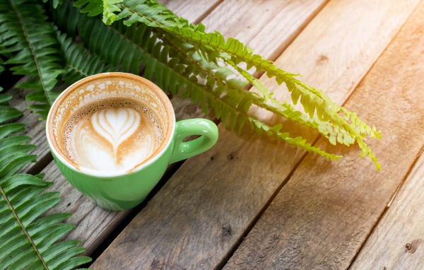 Чашка вкусного капучино  на столе с листьями папоротника