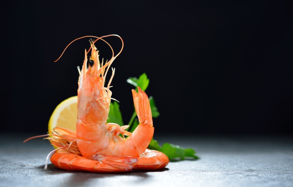 Вареные креветки с лимоном на черном фоне