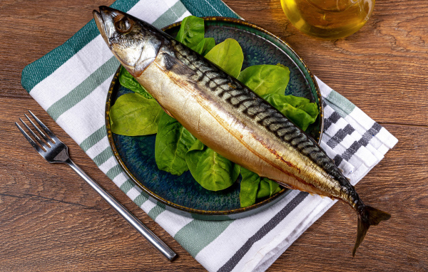 Большая жирная скумбрия на тарелке с базиликом