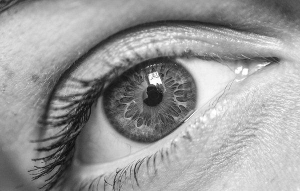 Красивый глаз девушки черно-белое фото