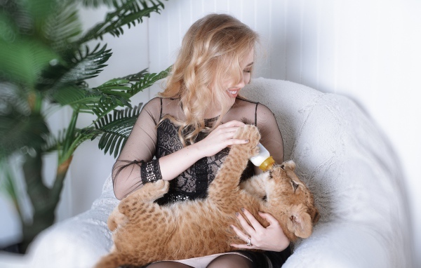 Красивая девушка кормит маленького тигренка 