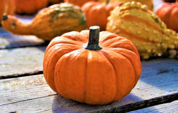 Большая оранжевая тыква на праздник Хэллоуин