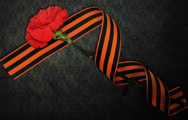 Георгиевская ленточка и красная гвоздика на 9 мая день Победы