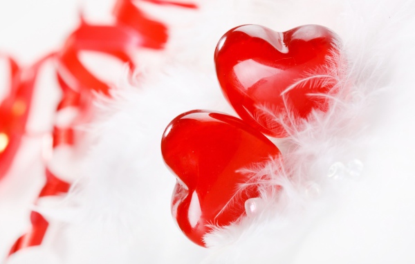 Два красных сердца с белым перьями