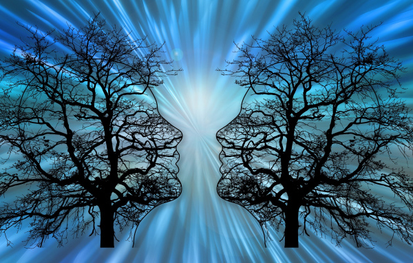 Два силуэта на опавших деревьях