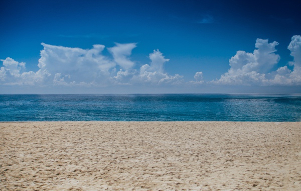 Следы на мокром песке у моря 