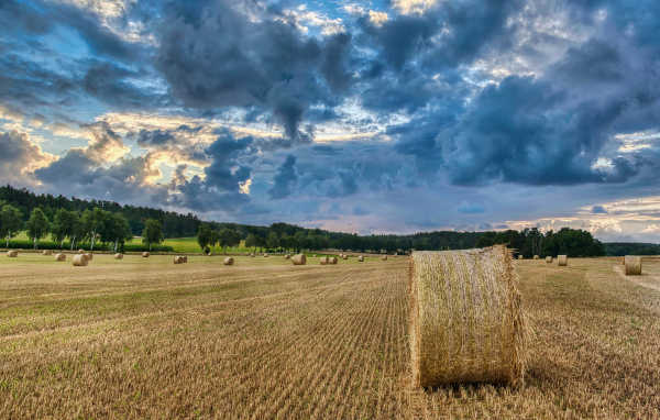 Сноп сена на поле под красивым грозовым небом 