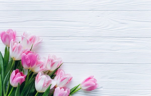 Красивый букет розовых тюльпанов на столе