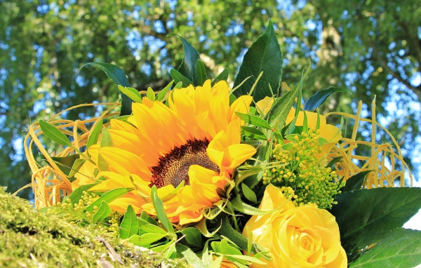 Букет цветов подсолнуха и желтой розы