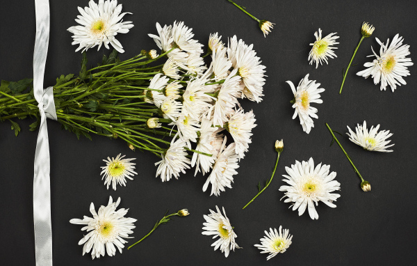 Букет белых хризантем на черном фоне