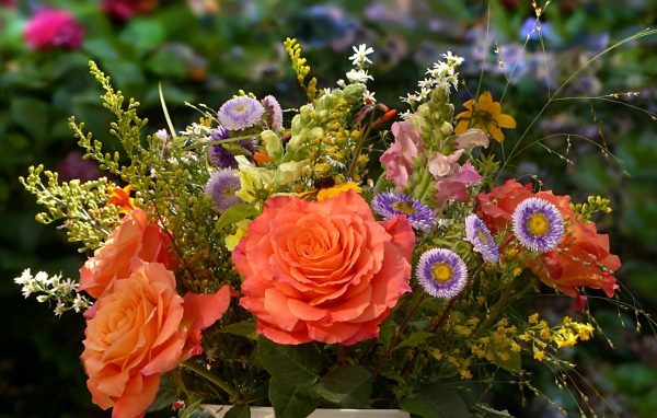 Букет полевых цветов с розами крупным планом