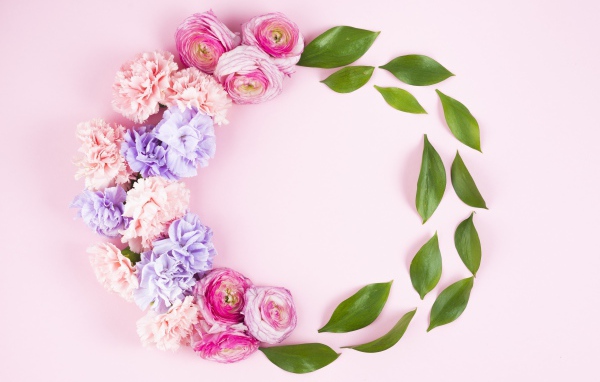 Гвоздики с лютиками и зелеными листьями на розовом фоне