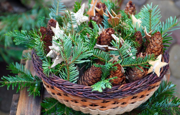 Шишки с ветками ели в корзине 