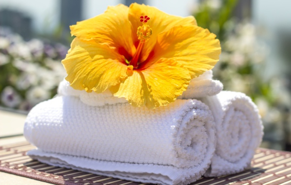 Большой цветок гибискуса с белыми полотенцами