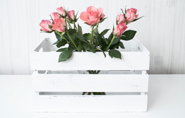 Розовые розы в белом деревянном ящике